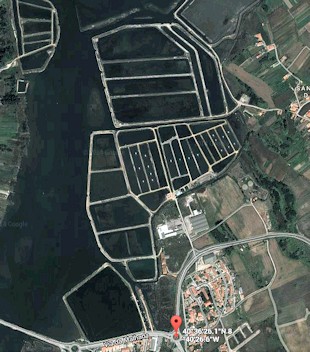 Temperature, Aveiro Region