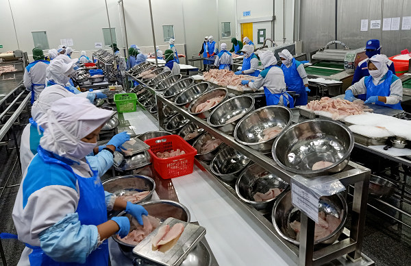 Cutting filete Cutting filets