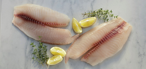 Cutting filete Cutting filets